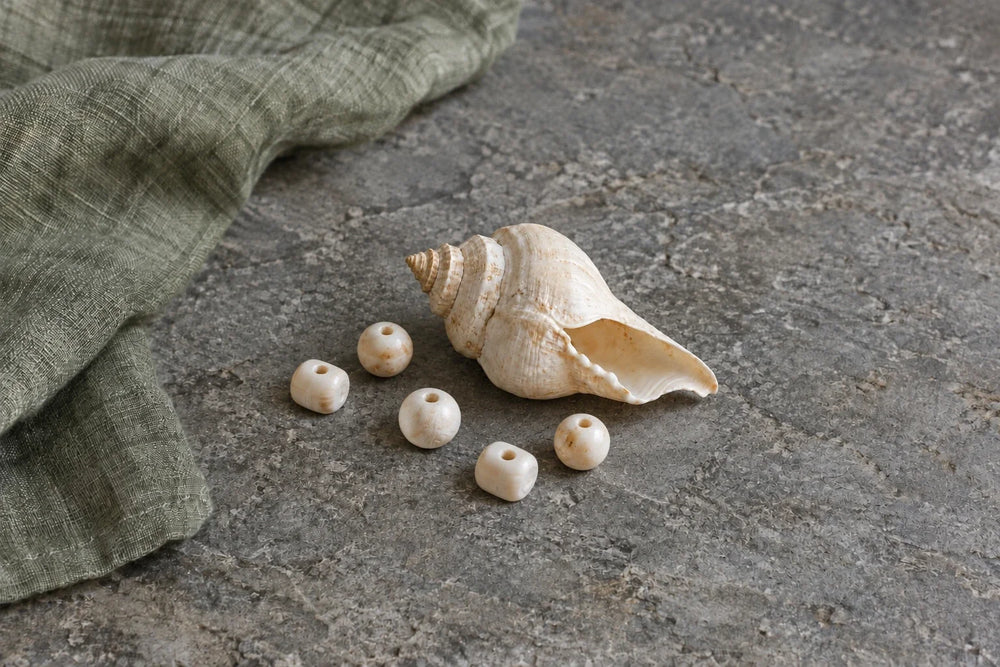 A small whole conch shell beside five ivory-colored drilled beads on gray stone with green linen.