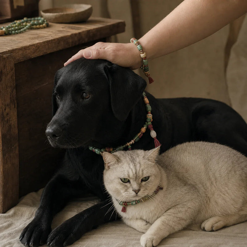 Black dog and pale cat wearing matching hand-knotted pet talismans in the studio