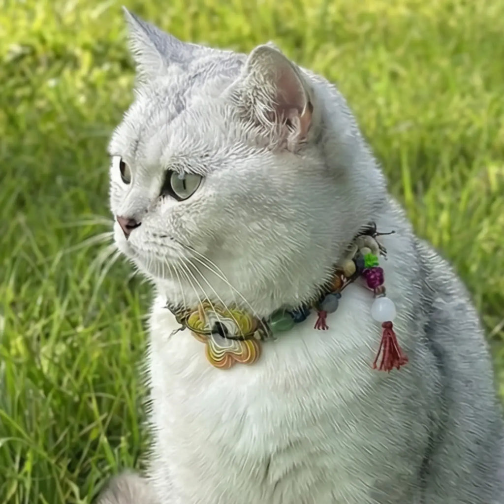 Custom Pet Collar - Matching Edition