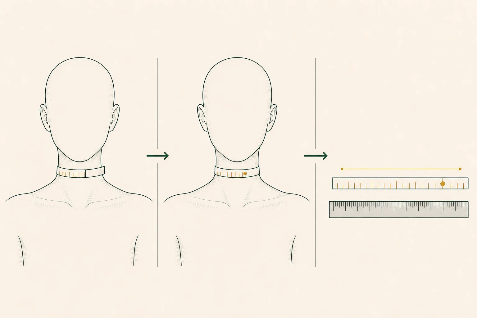 Three steps showing a soft tape wrapped around the bare neck, marked, then measured flat beside a ruler