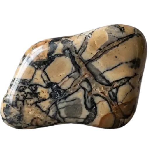 Picasso Jasper material study on a transparent background